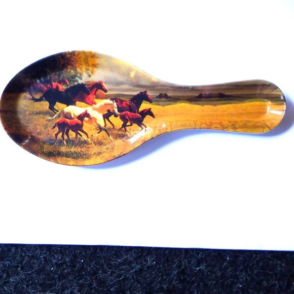 A TRUE WESTERN IMAGE ~ Collector's Spoon - Picture 1 of 2